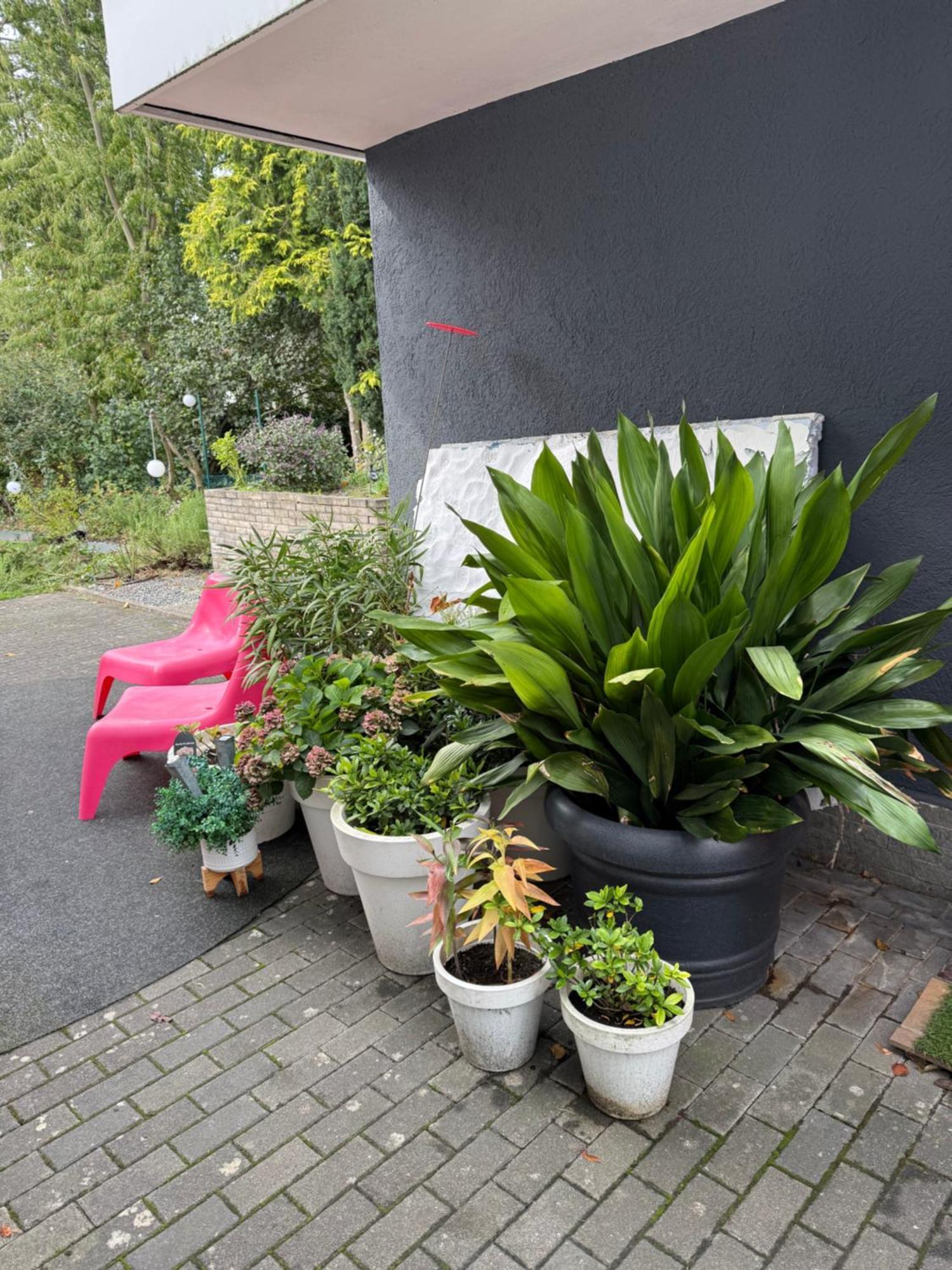 Modernes 1 Zimmerapartment Nahe Frankfurt Am Main Heusenstamm Eksteriør bilde